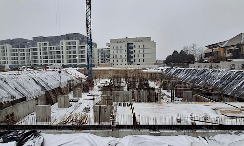 Ianuarie 2026