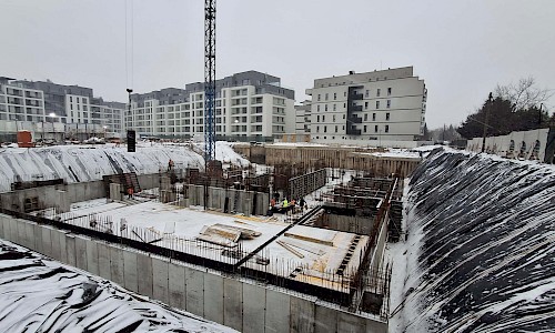 Ianuarie 2026