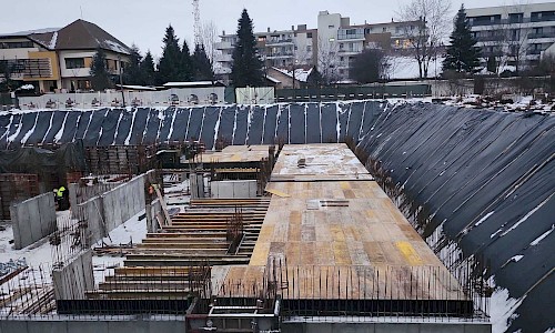 Ianuarie 2026